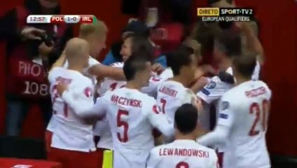 1-0 Grzegorz Krychowiak Goal - Polanv vs Ireland 11 October 2015