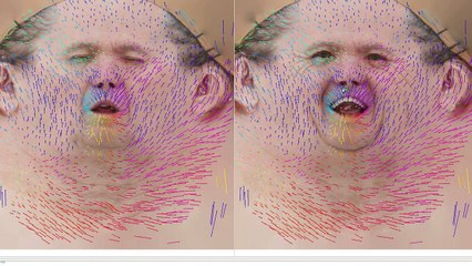 Squadron 42 Facial Animation Technology