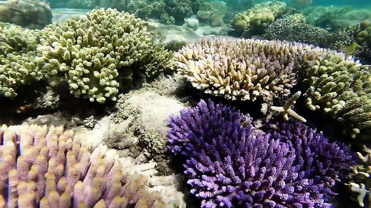 Mélo et Jérémie en Road Trip - Vidéo 12 - Côte Est avec Xavier et Sylvie