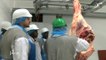Vendée : L'Institut de formation des métiers de la viande