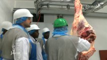 Vendée : L'Institut de formation des métiers de la viande