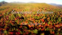 Awesome Autumn (Time Lapse - Aerial - Tilt Shift - 4k)