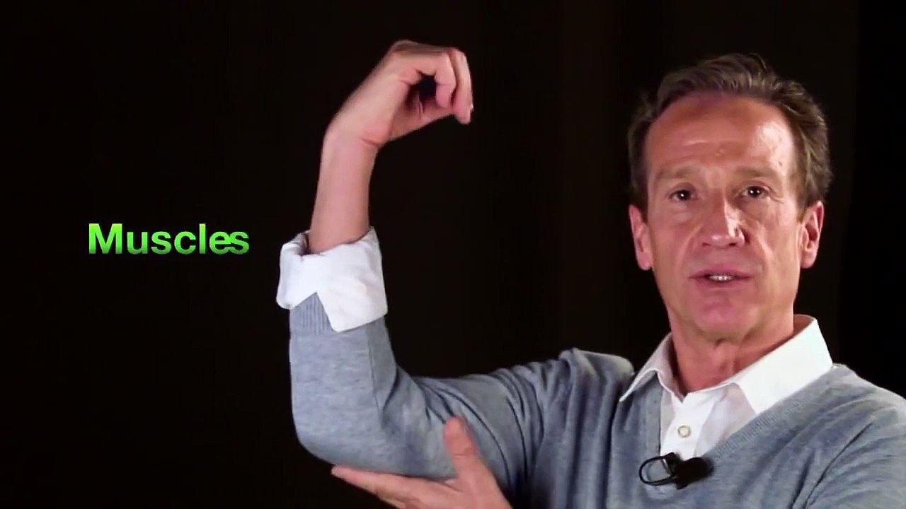 How to Tone Muscle and Lose Weight!