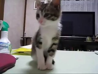 Так устал что с ног валюсь!