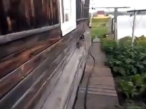 Такого я точно не видел!!!