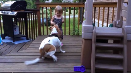 Собака развлекает малышку!