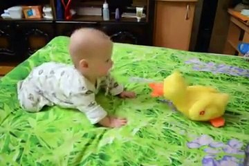 Танец маленьких утят!