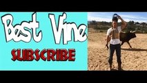 Top Vine Logan Paul || BestVine