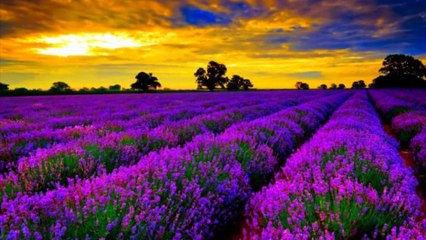 Ernesto Cortazar - A New Day - Music Video HD, Dalymotion (1080p)