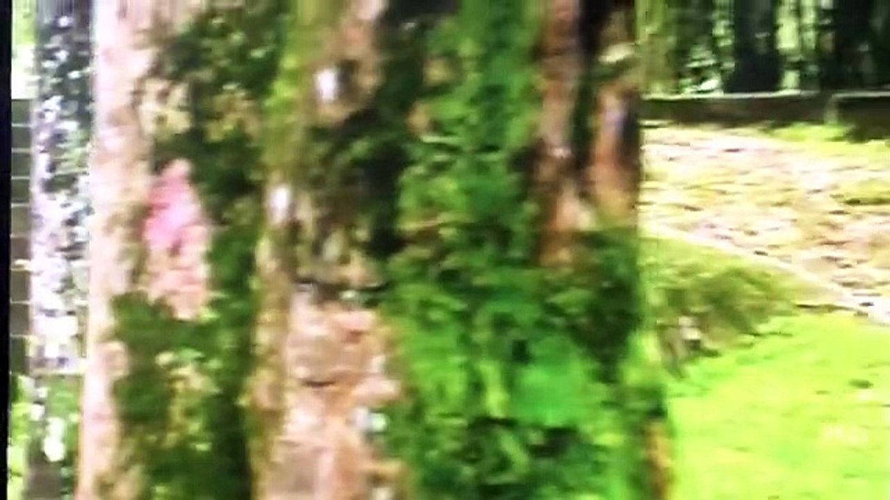 Antonio e Luíza - Cidadão - vídeo 982