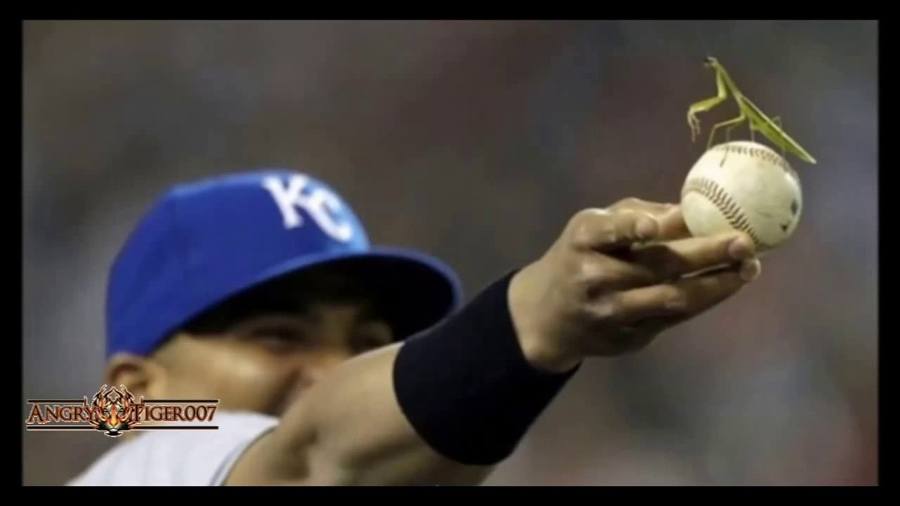 Oops Huge Funny Fail Compilation  Oops Right Moment Pics!Part 3 (720p)