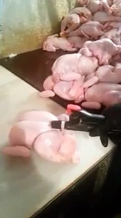 De verdad comemos esto?