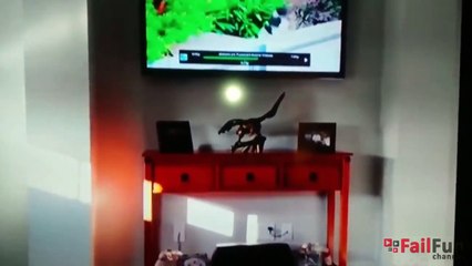 Epic Fails Compilation #13 __ May 2015 __ FailFun