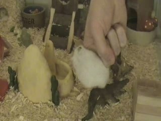 hamster going crazy in my hand