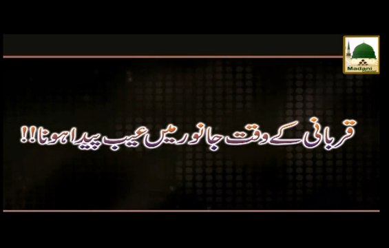 Qurbani kay Waqt Janwar main Aib Peda hona - Darul Ifta Ahlesunnat