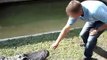 alligator-crocodile-attack-animal-attacks-sTMlQSbAGfE