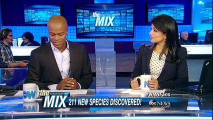 Scientists Discover over 200 new species| ABC News