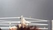Wwe The Hot Kelly Kelly vs Divas Champion Beth Phoenix-T3wq_g4gCk0