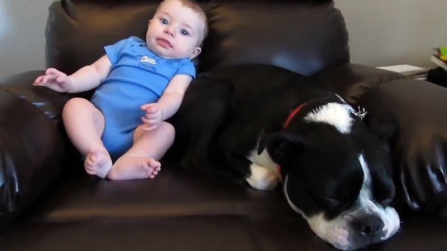 Ce bébé fait caca dans sa grenouillère, et regardez bien la réaction du chien... c'est hilarant !