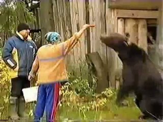 Bear attacking Lady 2008-9-AvvGQqGK0