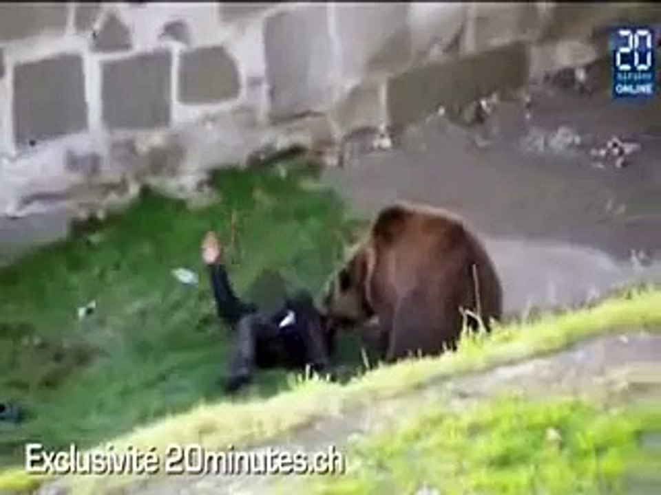 Ay Saldrs Zoo Bear AttackrB4UGjJsS8c video Dailymotion
