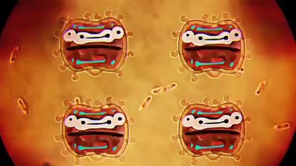 Llega la bacteria | El asombroso mundo de Gumball | Cartoon Network