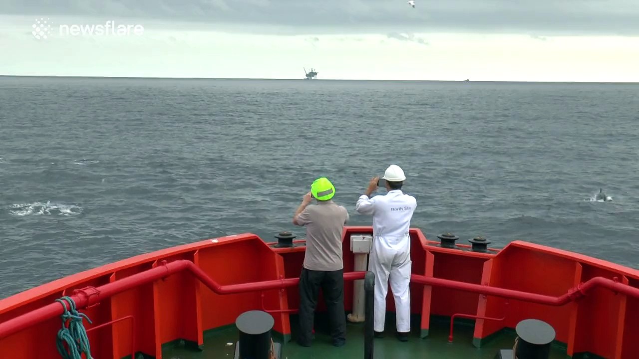 Rescue ship surrounded by killer whales