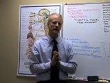 Orem Chiropractor Discusses Causes of Dizziness, BPPV & Vertigo #8