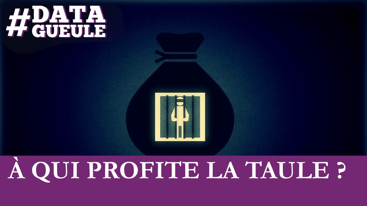 A qui profite la taule ? #DATAGUEULE 47