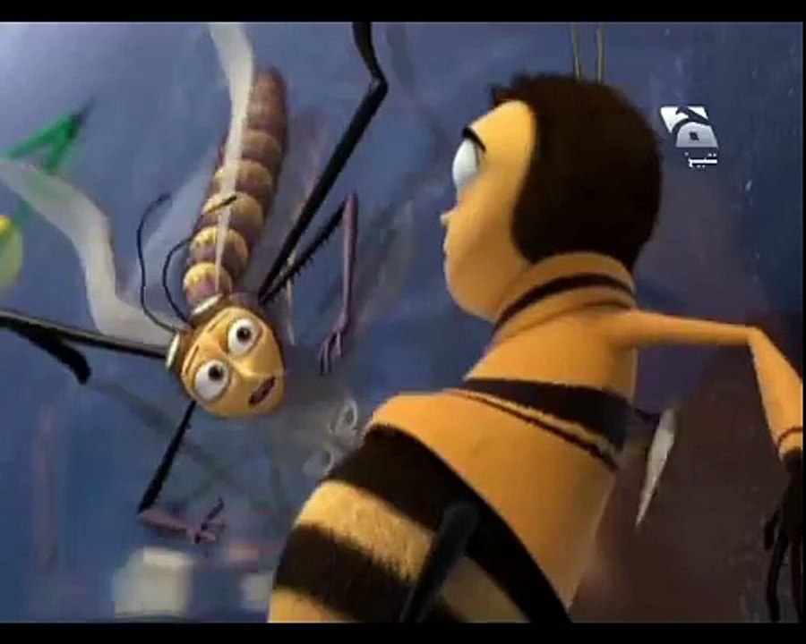 Bee New Tezabi Totay