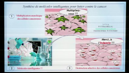 Assoman Kouakou - Maroc - Finale internationale Ma thèse en 180 secondes 2015