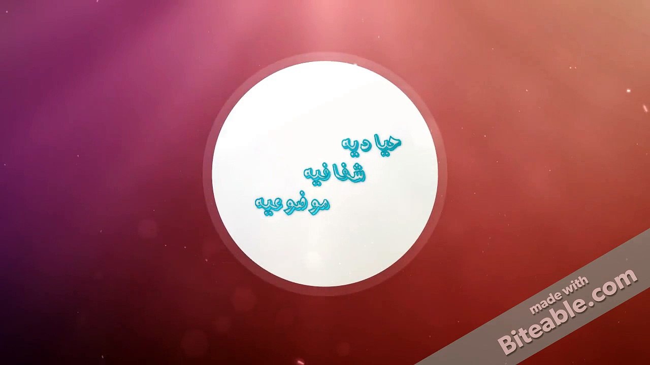 the new intro
