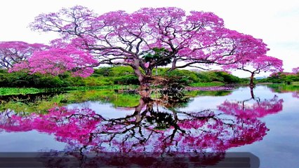 ye aankhen hain ya aina meri  Zindagi ka