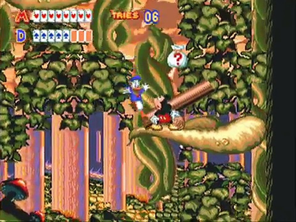 World of Illusion Starring Mickey Mouse and Donald Duck 2 player Netplay game