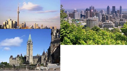 Mold Removal in Vancouver