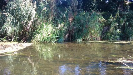 Анграпа. Щука