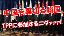 【中国を裏切る韓国】 TPPに参加するニダァァァ!
