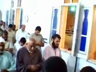 تلاوة آواخر سورة الحشر بصوت الشيخ مصطفى خميس