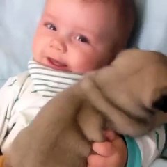 Baby Boy Snuggles with Pug