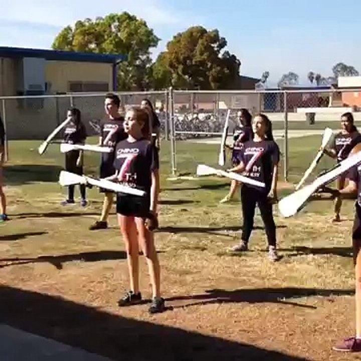 Baton Thrower Fail Feedback