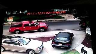6 Year Old Drives Away in Ford Mustang