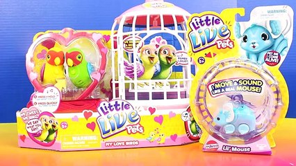 Little Live Pets My Love Birds Lil' Mouse Batman & Robin Go Shopping At Pet Shop