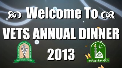 Video Background Loop of Annual Dinner 2013