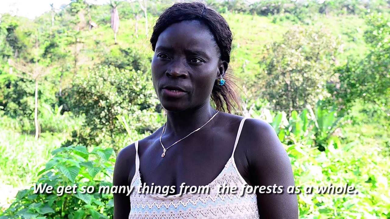 Community Forest Management: Implementing a New Vision