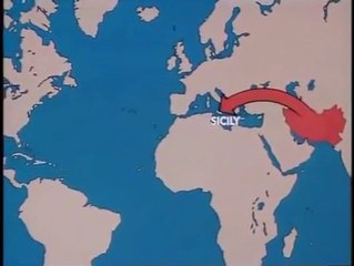 Crime Inc Part 7 The Old Mob and the New