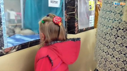 ✔ Выставка Кошечек. Ярослава в гостях у Котят - Kitty and Girl Yaroslava. Exhibition of kitties ✔
