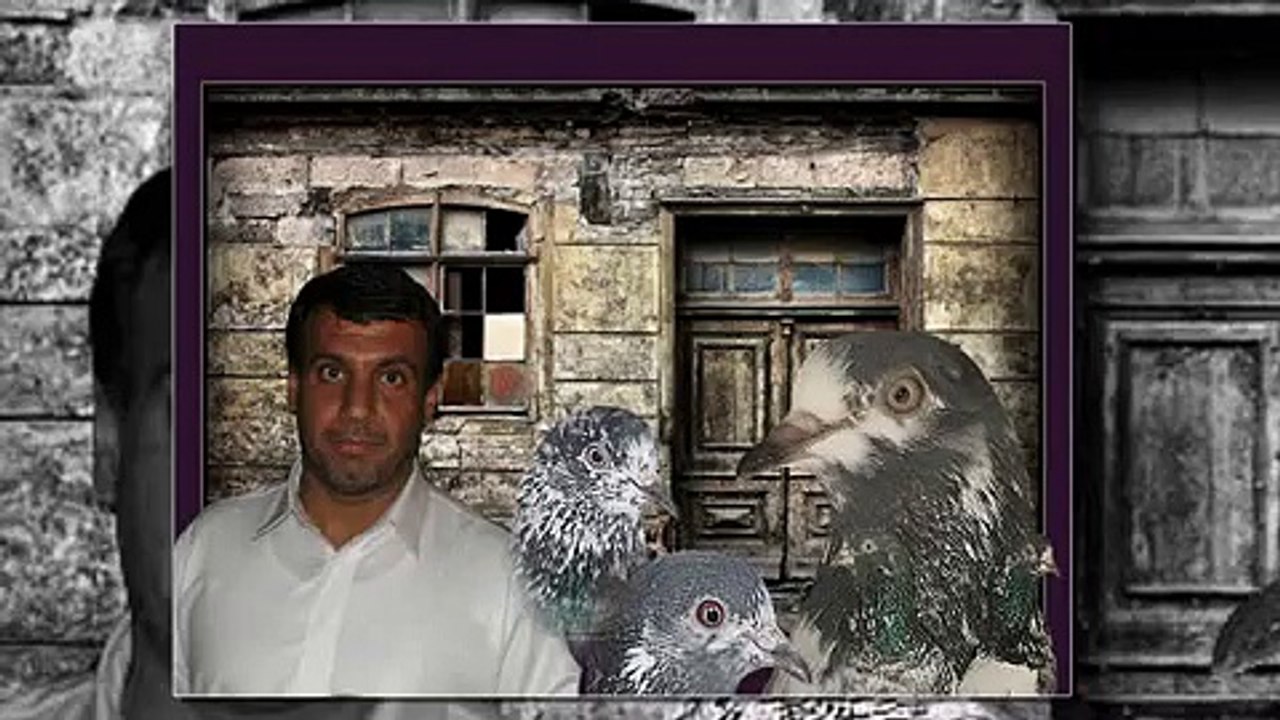 khalid bastki pakistani pigeon
