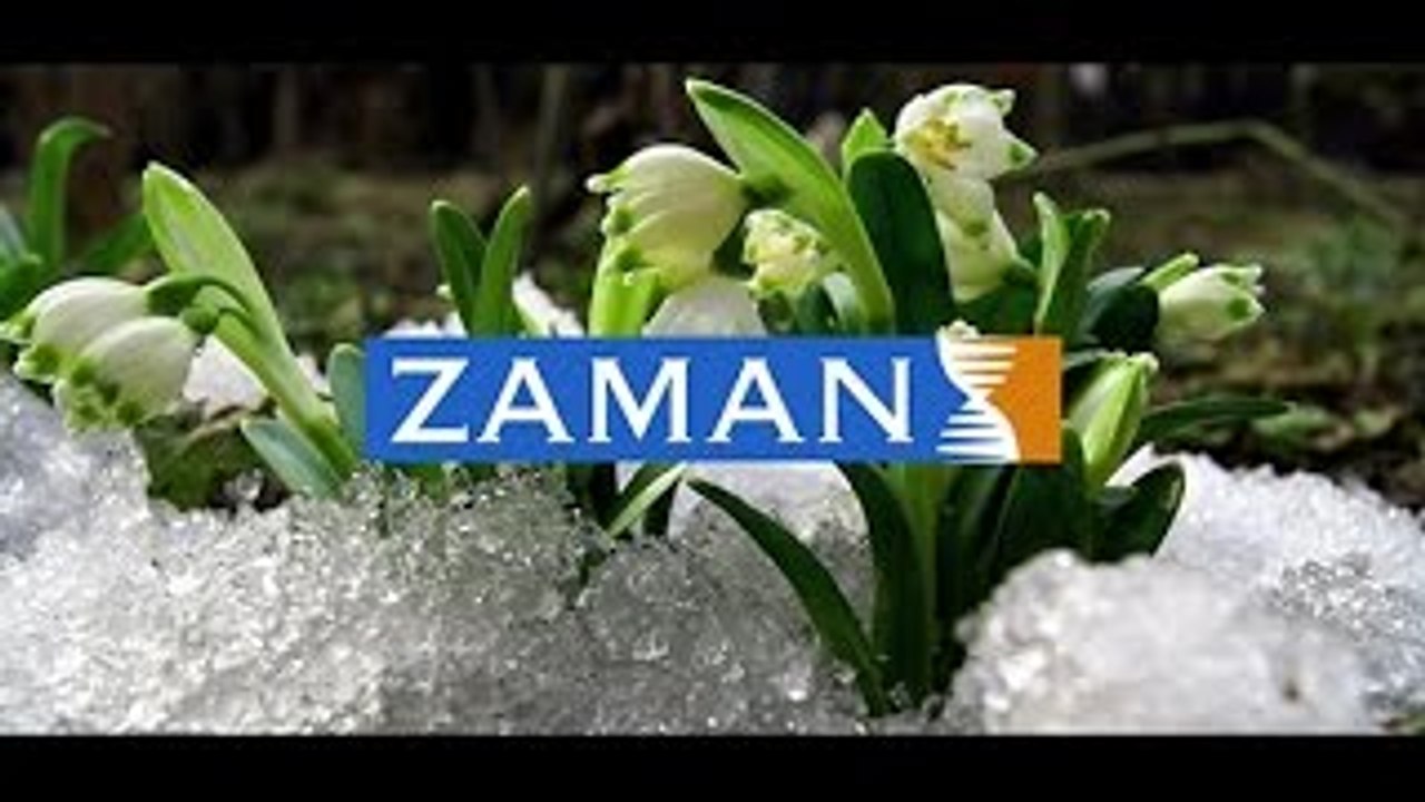 Zaman Gazetesi reklam filmi- Sükutun Çığlığı-Ekim 2015
