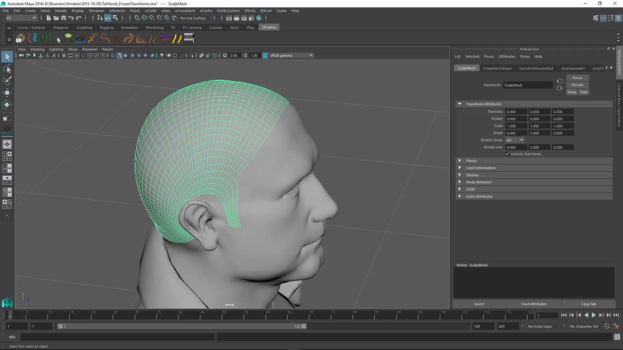 Ornatrix for Maya 101: Creating hair from NURBS curves