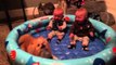 Twin Babies Cant Stop Giggling At Their Pomeranian